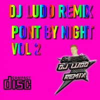 DJ Ludo Remix Raw artwork