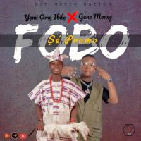 Yemi Omo Ibilé Fobo sé promo (feat. Gane Money) artwork