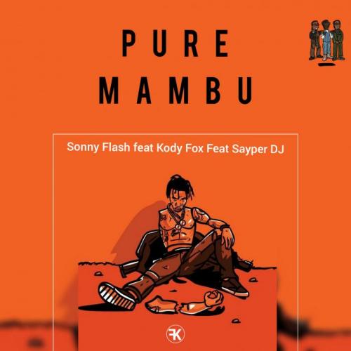 Sonny Flash - PMB (feat. Kody Fox, Sayper DJ)