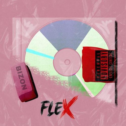 Bizon - Flex