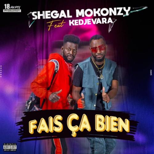 Shegal Mokonzi - Fais Ca Bien (feat. DJ Kedjevara)