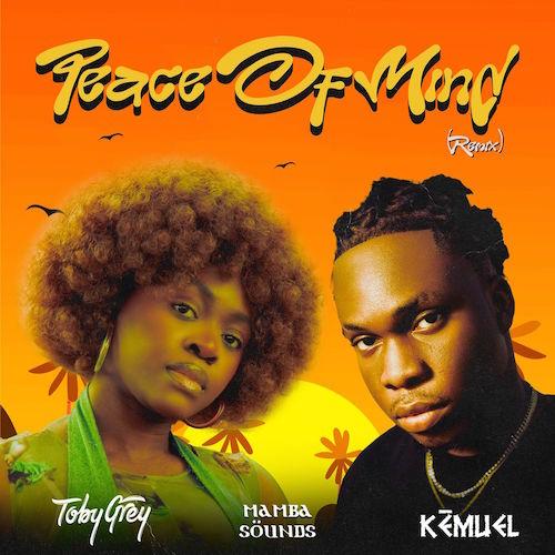 Toby Grey - Peace Of Mind Remix (feat. Kemuel & Mamba Sounds)