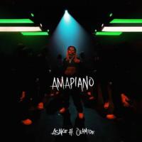 Asake - Amapiano (feat. Olamide)