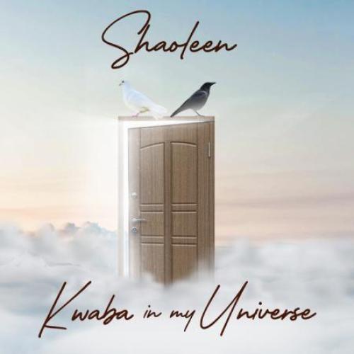 Shaoleen Kwaba In My Universe album cover