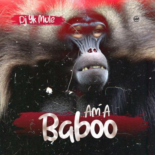 DJ YK - Am A Baboo