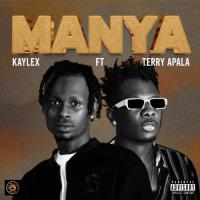 Kaylex Manya (feat. Terry Apala) artwork