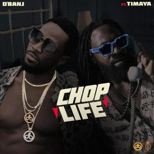 D’Banj - Chop Life (feat. Timaya)