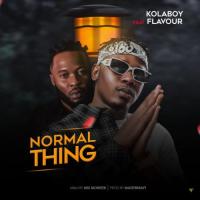 Kolaboy Normal Thing (feat. Flavour) artwork