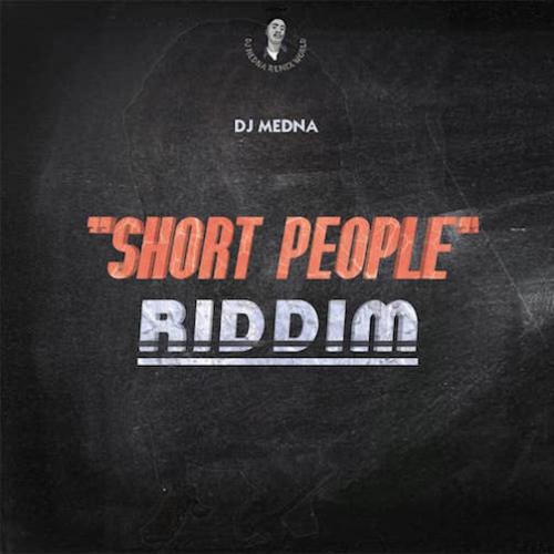 DJ Medna - Short People Riddm