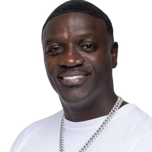 Akon - Enjoy That Remix (feat. Mr Brown)