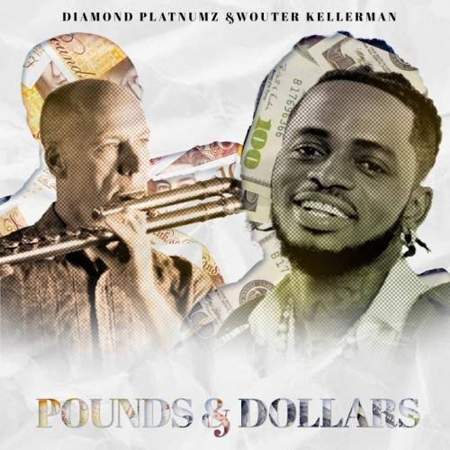 Diamond Platnumz - Pounds & Dollars (feat. Wouter Kellerman)