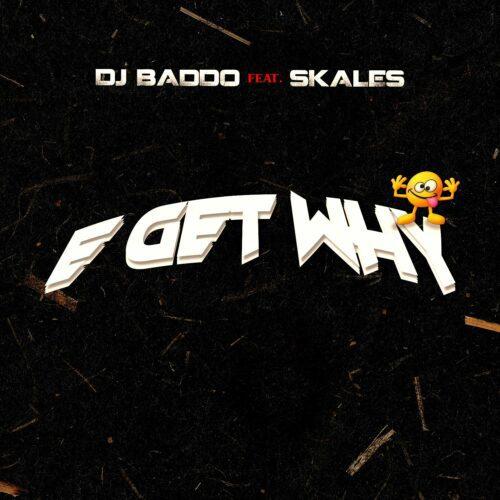 DJ Baddo - E Get Why (feat. Skales)