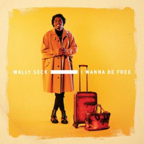 Wally B. Seck - Why Not