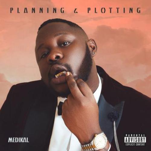 Medikal - Planning & Plotting album art