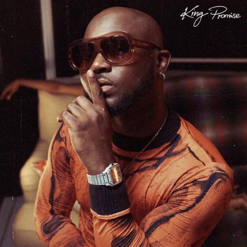 King Promise - Perfect Combi (feat. Gabzy)