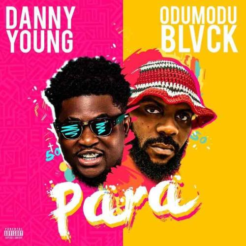 Danny Young - Para (feat. Odumodublvck)