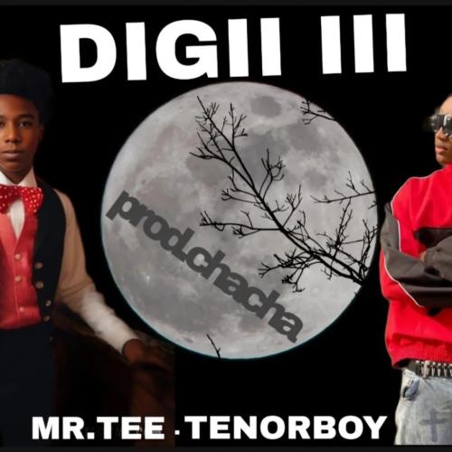 Mr Tee - Digi III (feat. Tenorboy & Prod. Chacha)