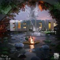 Zinoleesky Element artwork