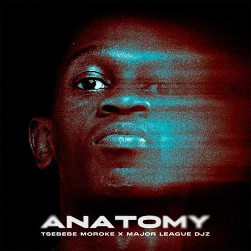 Tsebebe Moroke - Anatomy (feat. Major League DJz)