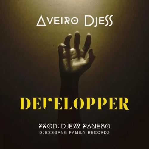 Aveiro Djess - Développer