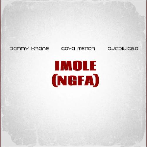 Dammy Krane - Imole - NGFA (feat. Goya Menor & Ojadiligbo)