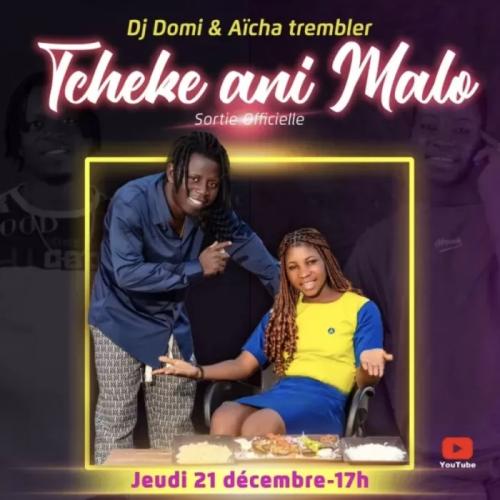 DJ Domi - Tcheke Ani Malo (feat. Aicha Trembler)