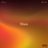 CKay Wahala (feat. Olamide) artwork