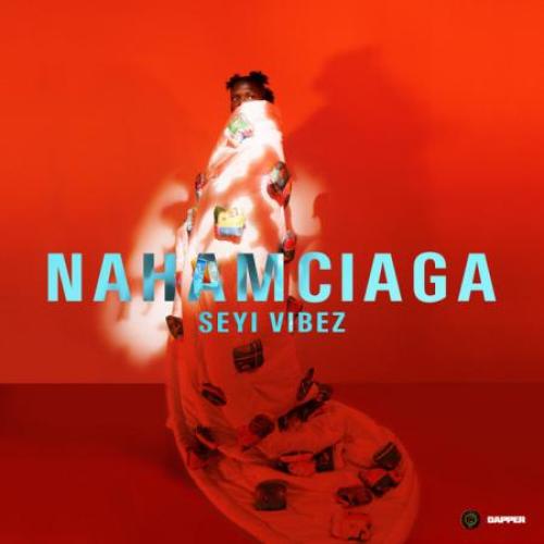 Seyi Vibez Nahamciaga album cover