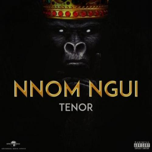 Tenor - Nnom Ngui album art