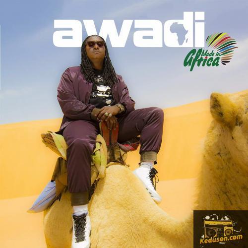 Didier Awadi - Never Give Up (feat. Josey)