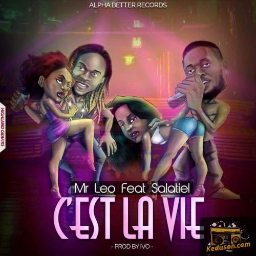 Mr Leo - C'est la vie (feat. Salatiel)